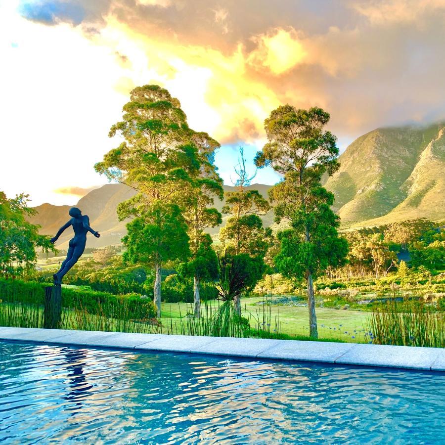 The Guardian Hermanus Luxury Self-Catering Hemel En Aarde Valley Apartment Екстериор снимка