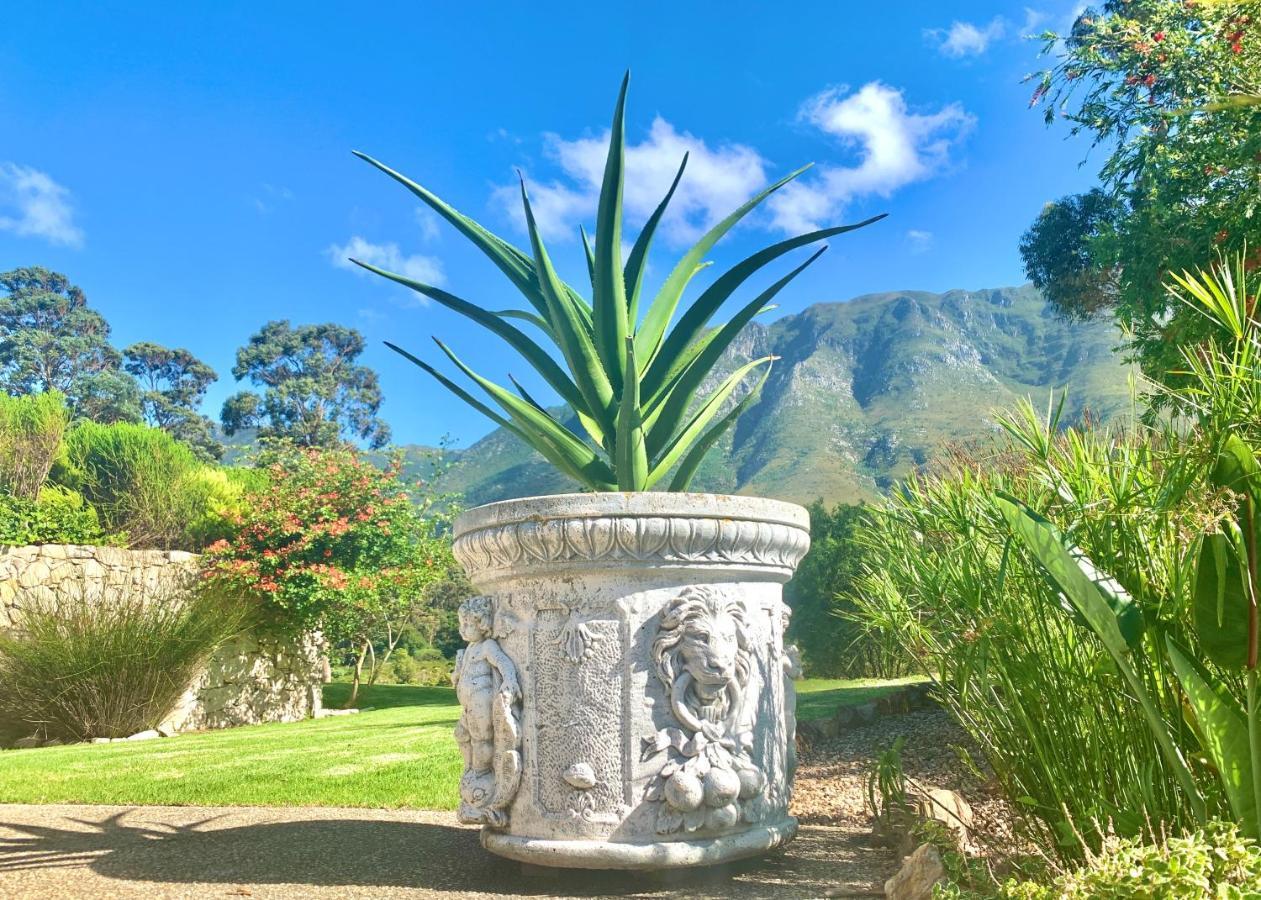 The Guardian Hermanus Luxury Self-Catering Hemel En Aarde Valley Екстериор снимка